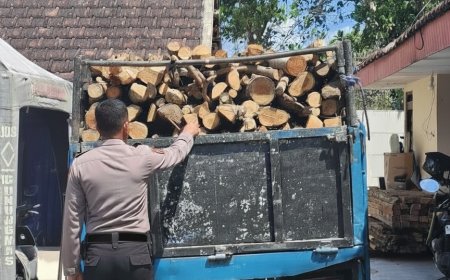 Truk Muatan Kayu Diamankan dalam Pengungkapan Illegal Logging