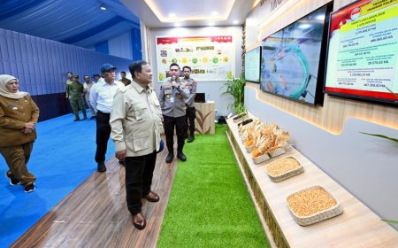 Kemandirian Pangan Nasional Kian Kokoh dengan Stok Beras Melimpah