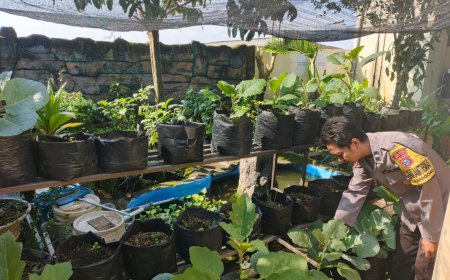 Polres Malang Optimalkan Pekarangan Pangan Lestari untuk Dukung Ketahanan Pangan